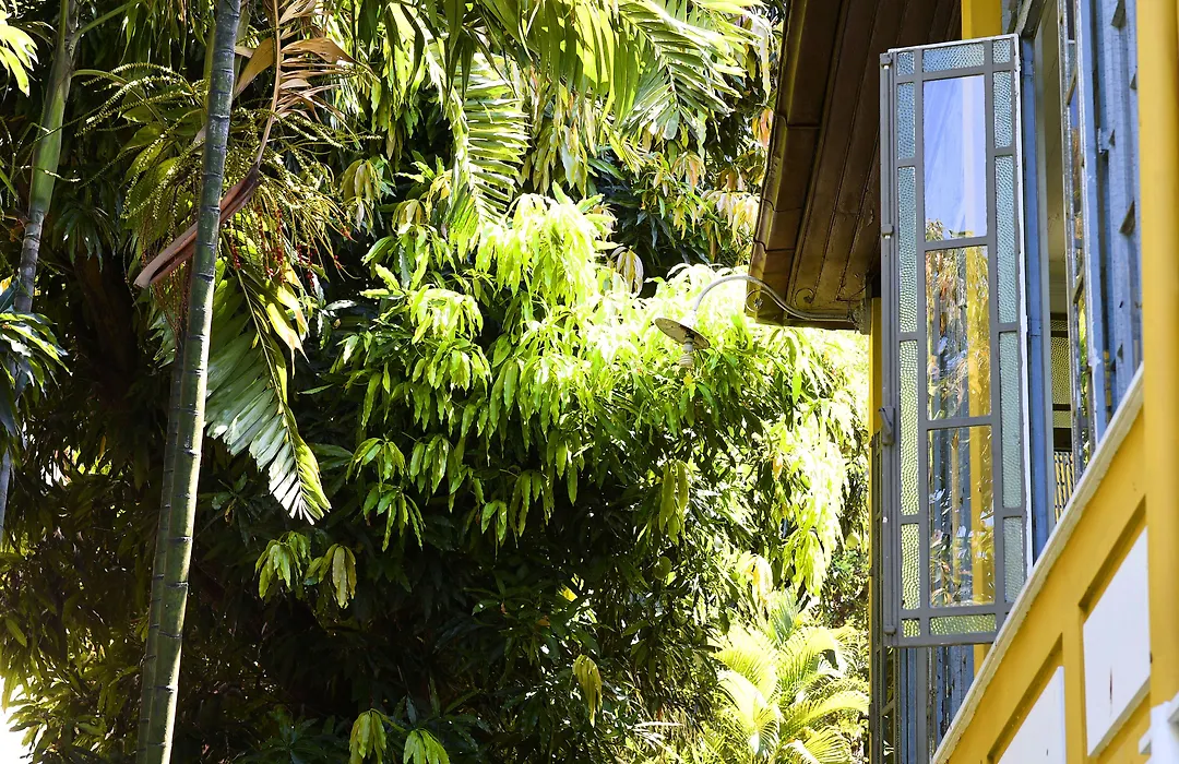 Casa Amarelo-1